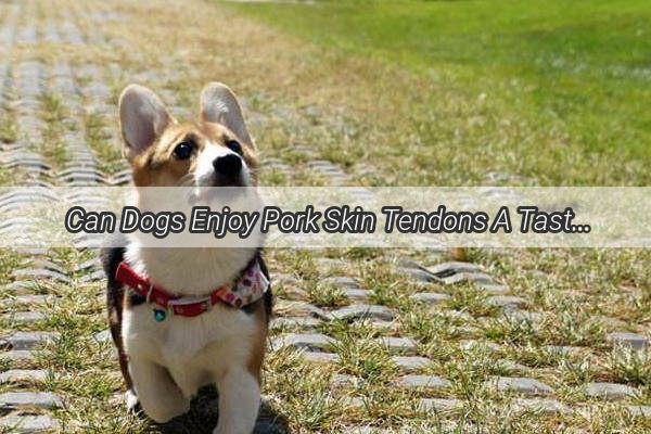 Can Dogs Enjoy Pork Skin Tendons A Tasty Treat or a Health Risk